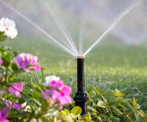 Happy Spring Day from Eco-Flo Irrigation!