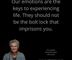 Emotions - Our Inner Guidance Systems!