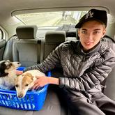 Happy Client - Whale Coast Shuttles - Xplorio™ Gansbaai