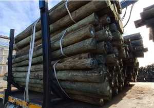 Pine Pole Trellising