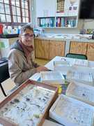 Seeking for New Weevil Species at Grootbos