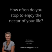 Stop and enjoy the magic and beauty around you!