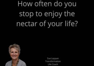 Stop and enjoy the magic and beauty around you!