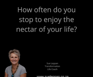 Stop and enjoy the magic and beauty around you!