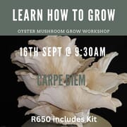 16 September 2023: Oyster Mushroom Grow Workshop
