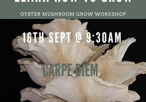 16 September 2023: Oyster Mushroom Grow Workshop