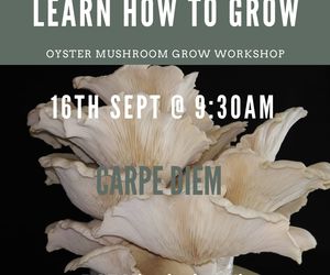 16 September 2023: Oyster Mushroom Grow Workshop