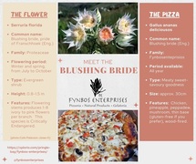 Meet the Blushing Bride Pizza