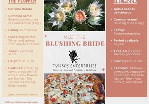 Meet the Blushing Bride Pizza