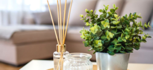 Sniff this: the best scents for selling your home!