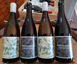 Now in Stock: Thistle & Weed!