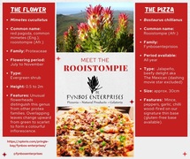 Meet the Rooistompie