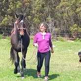 Working with a horse as therapy...not my role, but learning about it - Caron Lee - Xplorio™ Gansbaai