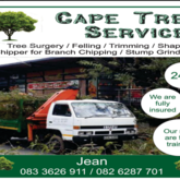Services - Cape Tree Services - Xplorio™ Barrydale