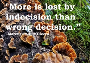 Let Go Of The Limiting Stories You Tell Yourself