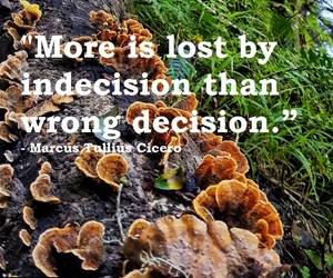 Let Go Of The Limiting Stories You Tell Yourself