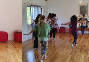 Classic Nia and 52 Moves Classes with Susan Sloan and Mia Steyn