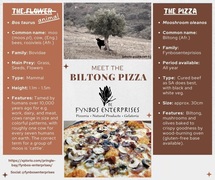 Meet the Biltong Pizza