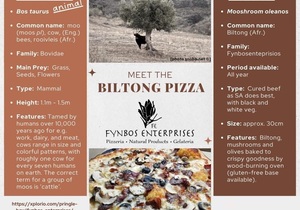 Meet the Biltong Pizza
