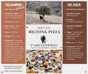 Meet the Biltong Pizza