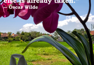 Be Yourself, Everyone Else Is Already Taken