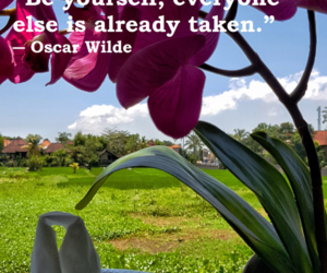 Be Yourself, Everyone Else Is Already Taken