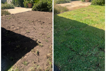 image00033_1695993104