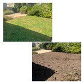 Grass - Water Flower Landscaping & Irrigation - Xplorio™ Hermanus