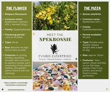 Meet the Spekbossie Pizza