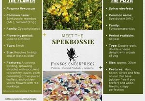 Meet the Spekbossie Pizza