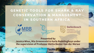 Marine Evening: 10 October 2023