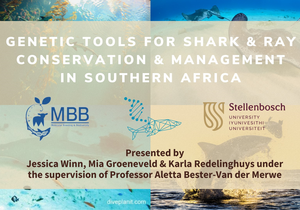 Marine Evening: 10 October 2023