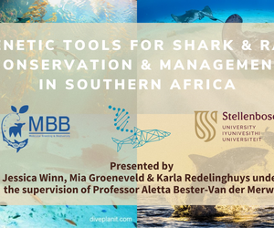 Marine Evening: 10 October 2023