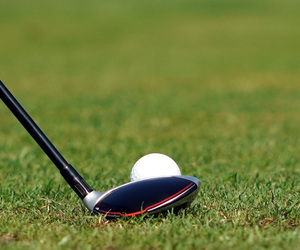 4 November 2023: BARC Fundraising Golf Day - Show Your Support