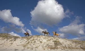 5 Ways to Explore Gansbaai