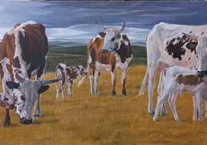 Meet Artist Jan Kotze