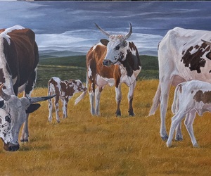 Meet Artist Jan Kotze