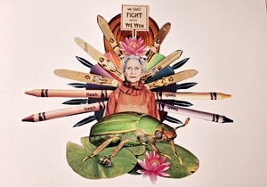 Meet Artist Robin Pocock