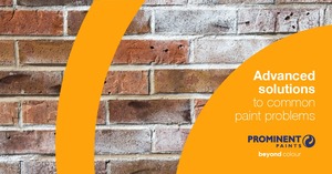 Prominent Paints: Dealing with Efflorescence