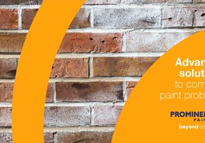 Prominent Paints: Dealing with Efflorescence