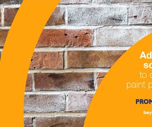 Prominent Paints: Dealing with Efflorescence