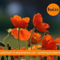 Choose orange 🍊🧡