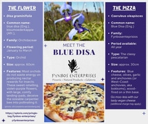 Meet the Blue Disa Pizza