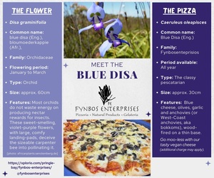 Meet the Blue Disa Pizza