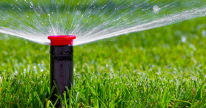 Inspect Your Irrigation System Regularly