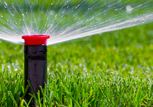 Inspect Your Irrigation System Regularly