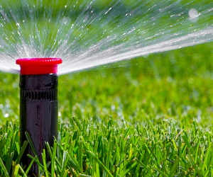 Inspect Your Irrigation System Regularly