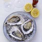 Oysters - Old Cape Last Trading Post - Xplorio™ L'Agulhas / Struisbaai