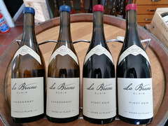 Now in Stock - La Brune!
