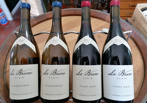 Now in Stock - La Brune!
